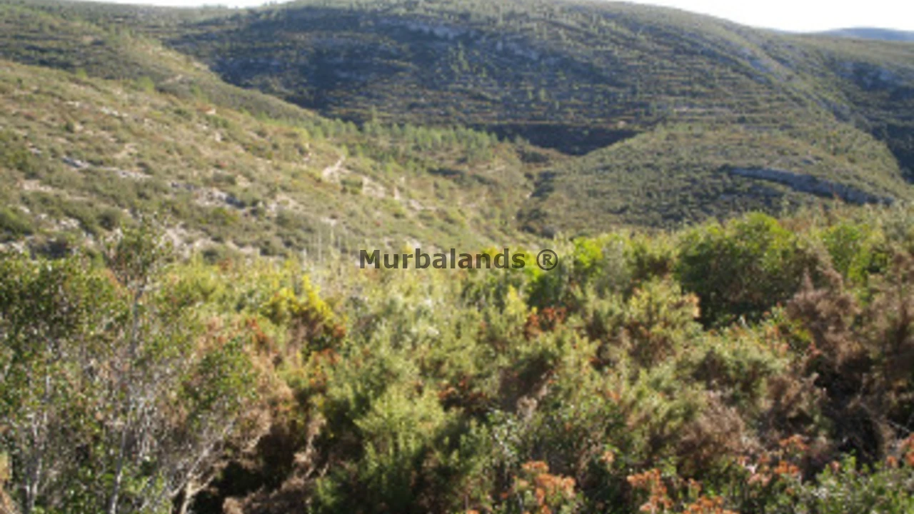 Terreno destacado