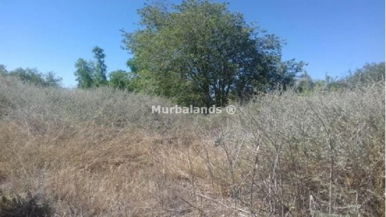 Foto del anuncio Ref. 00005842