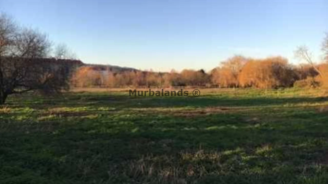 Foto de un terreno o una obra parada para mostrar en el detalle del inmueble