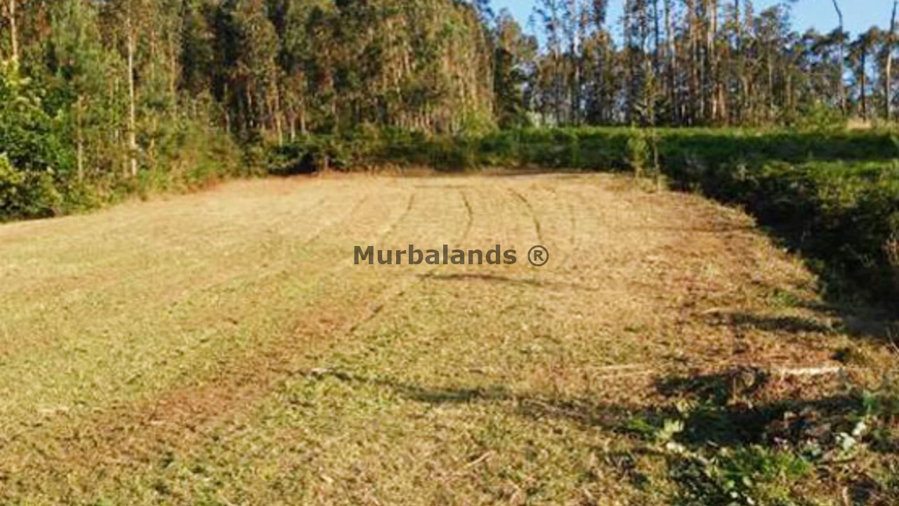 Foto de un terreno o una obra parada para mostrar en el detalle del inmueble