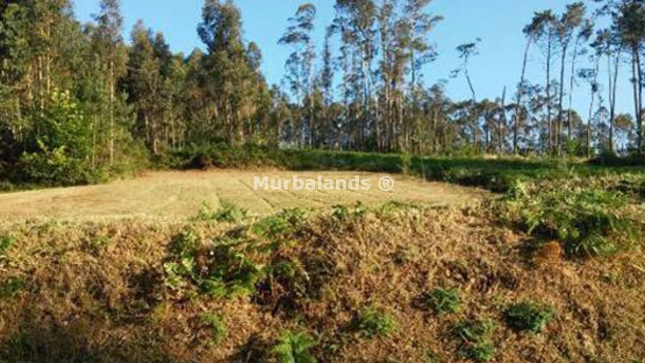 Foto de un terreno o una obra parada para mostrar en el detalle del inmueble