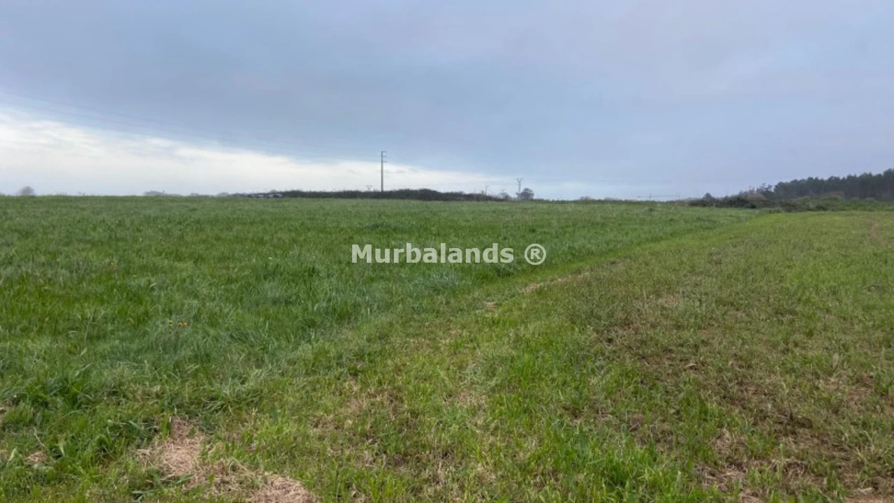 Foto de un terreno o una obra parada para mostrar en el detalle del inmueble