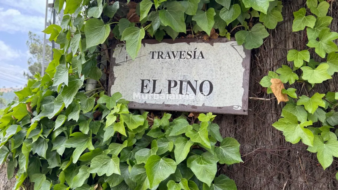 Terreno destacado