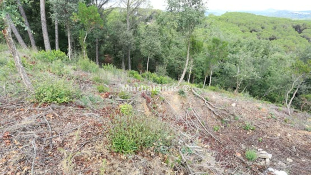 Foto de un terreno o una obra parada para mostrar en el detalle del inmueble