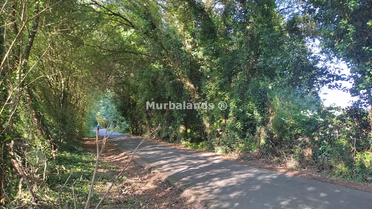 Foto de un terreno o una obra parada para mostrar en el detalle del inmueble