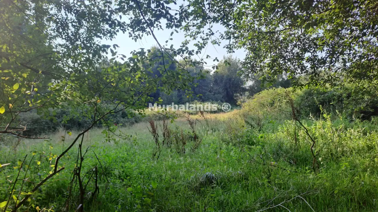 Foto de un terreno o una obra parada para mostrar en el detalle del inmueble