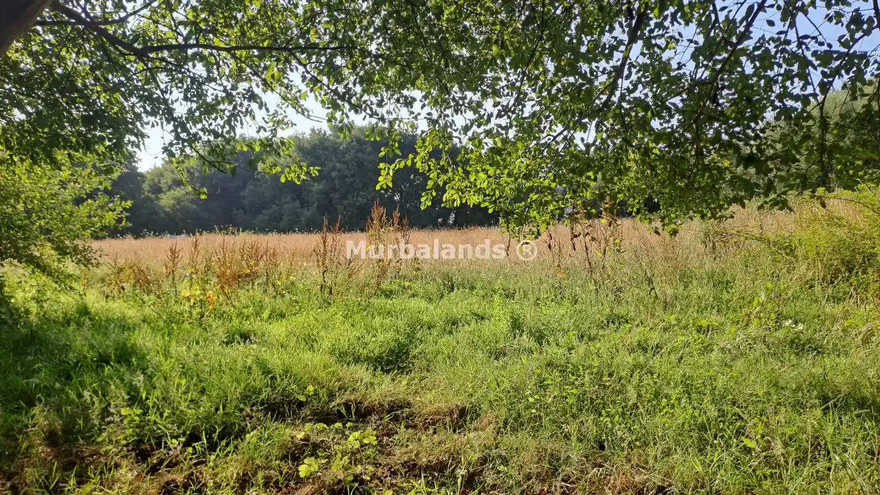 Foto de un terreno o una obra parada para mostrar en el detalle del inmueble