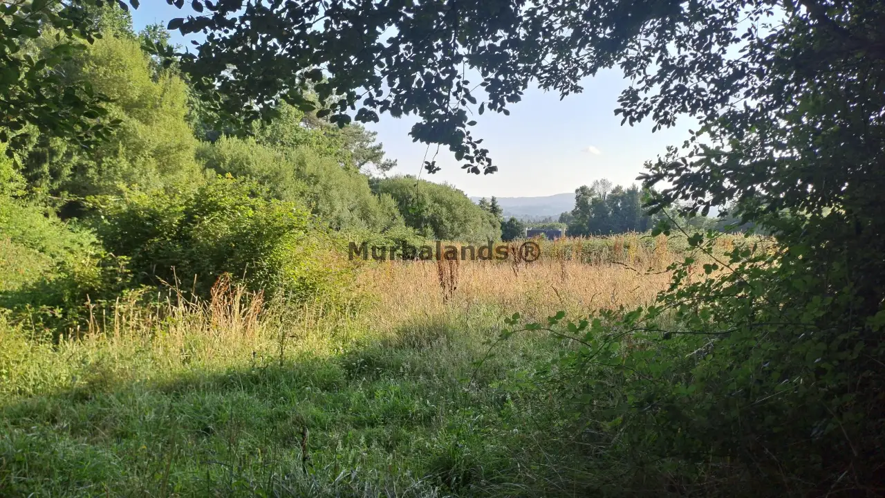 Foto de un terreno o una obra parada para mostrar en el detalle del inmueble