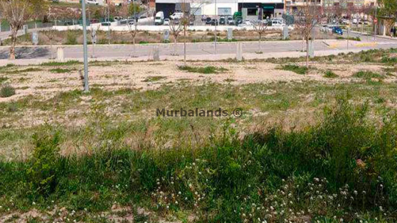 Terreno destacado