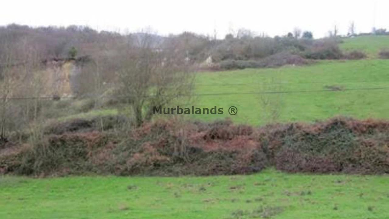 Foto de un terreno o una obra parada para mostrar en el detalle del inmueble