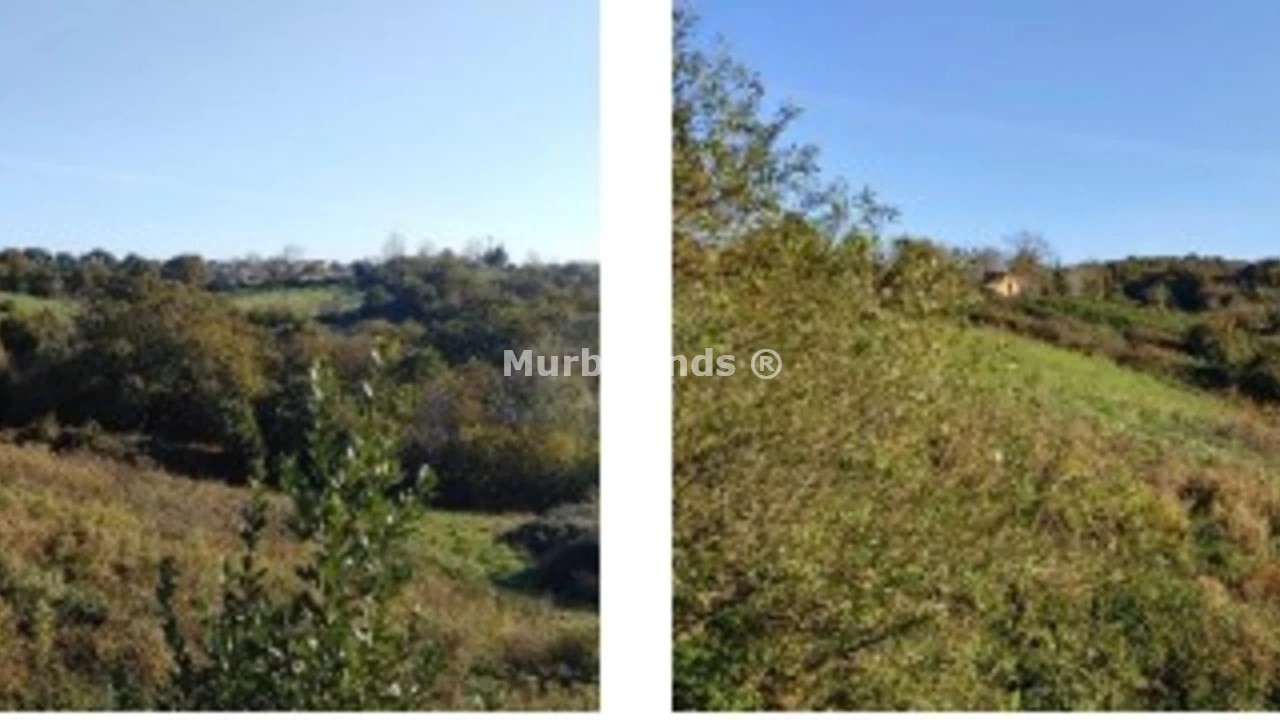 Foto de un terreno o una obra parada para mostrar en el detalle del inmueble