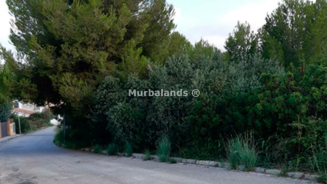 Foto de un terreno o una obra parada para mostrar en el detalle del inmueble