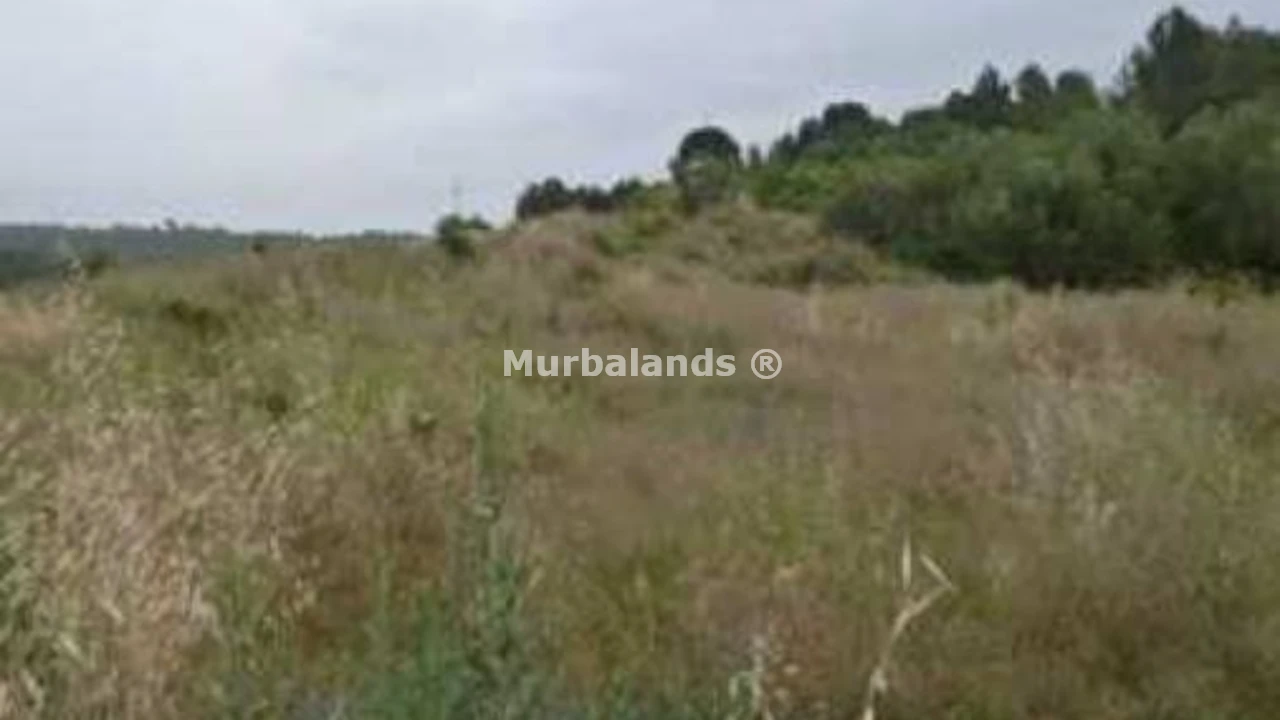 Foto de un terreno o una obra parada para mostrar en el detalle del inmueble