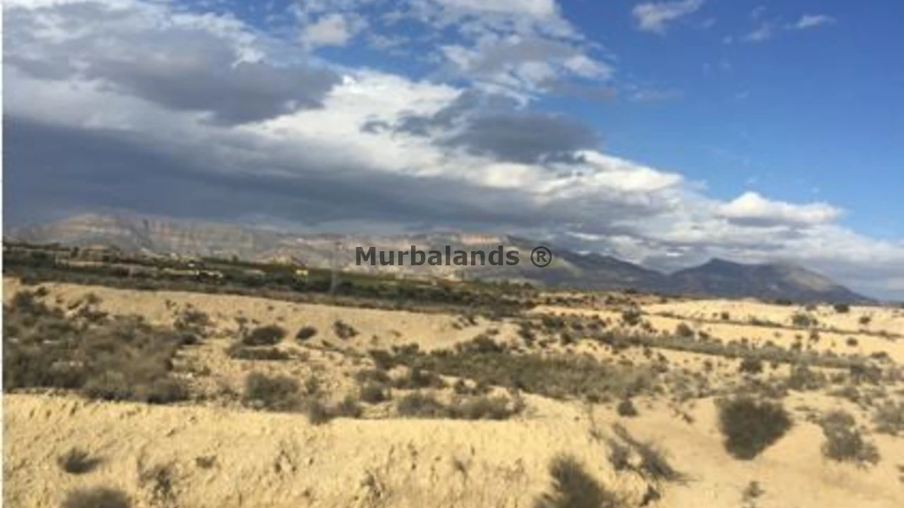 Foto de un terreno o una obra parada para mostrar en el detalle del inmueble