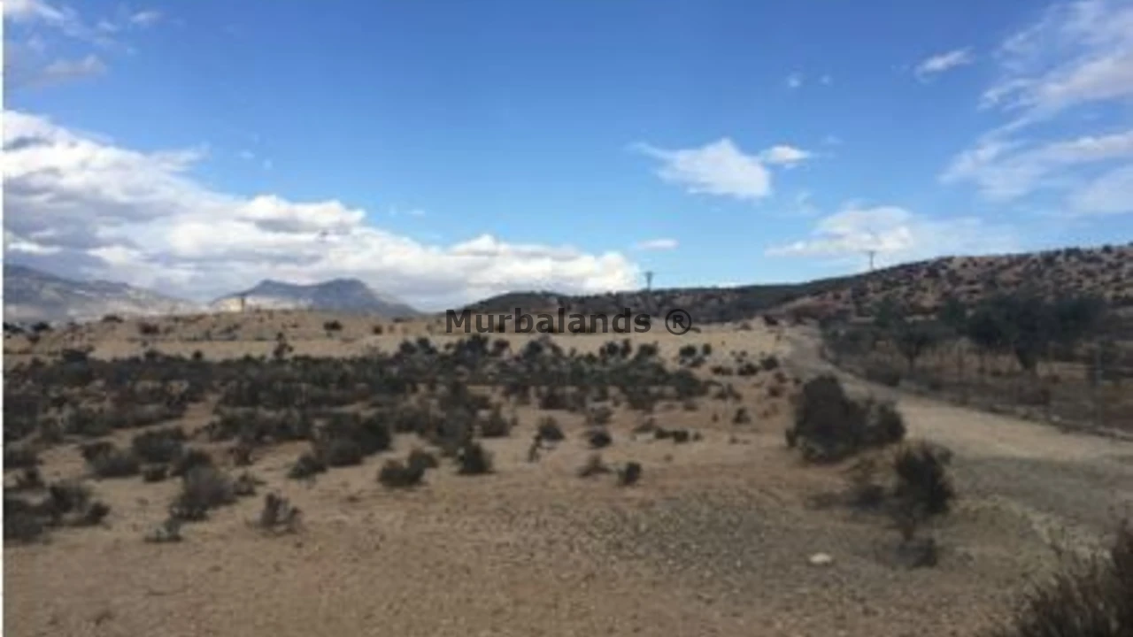 Foto de un terreno o una obra parada para mostrar en el detalle del inmueble