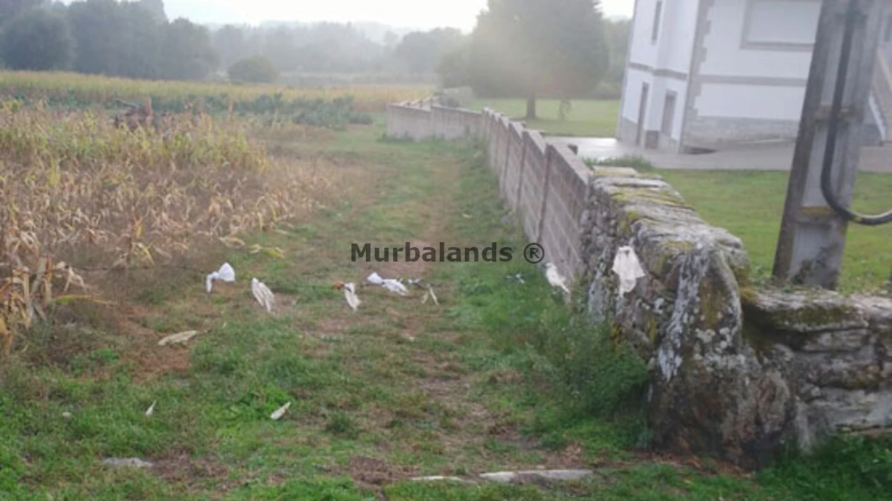 Foto de un terreno o una obra parada para mostrar en el detalle del inmueble
