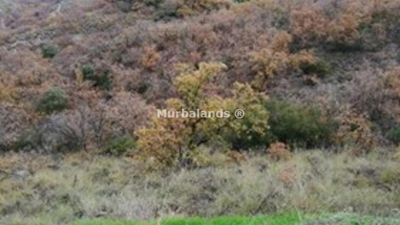 Foto de un terreno o una obra parada para mostrar en el detalle del inmueble