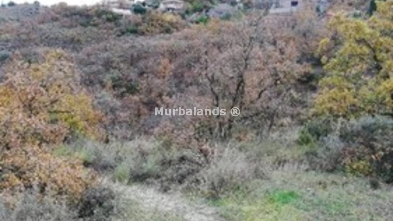 Foto de un terreno o una obra parada para mostrar en el detalle del inmueble