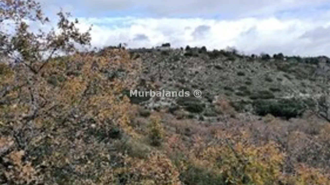 Foto de un terreno o una obra parada para mostrar en el detalle del inmueble