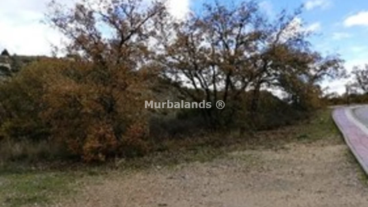 Foto de un terreno o una obra parada para mostrar en el detalle del inmueble