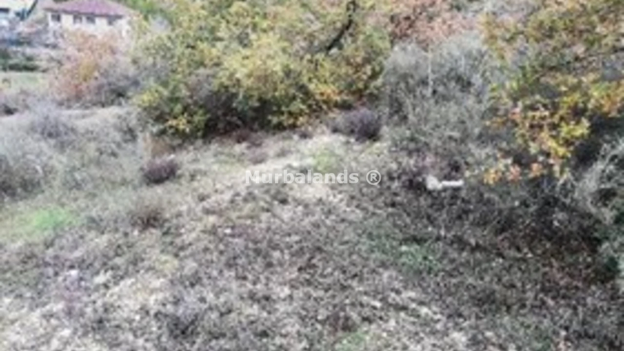 Foto de un terreno o una obra parada para mostrar en el detalle del inmueble