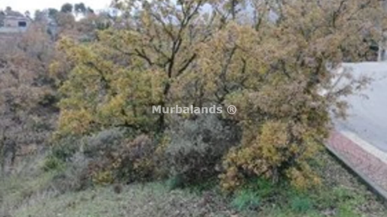 Foto de un terreno o una obra parada para mostrar en el detalle del inmueble