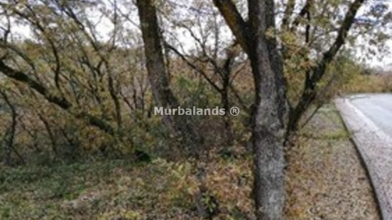 Foto de un terreno o una obra parada para mostrar en el detalle del inmueble