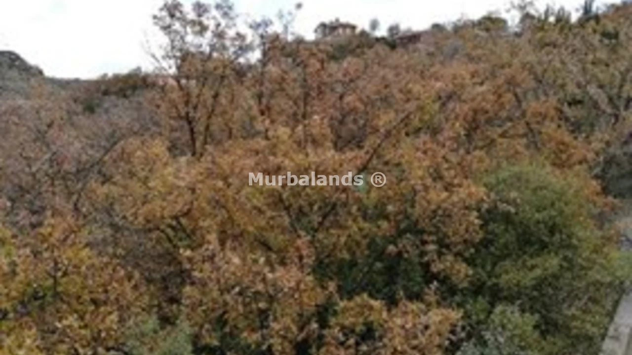 Foto de un terreno o una obra parada para mostrar en el detalle del inmueble