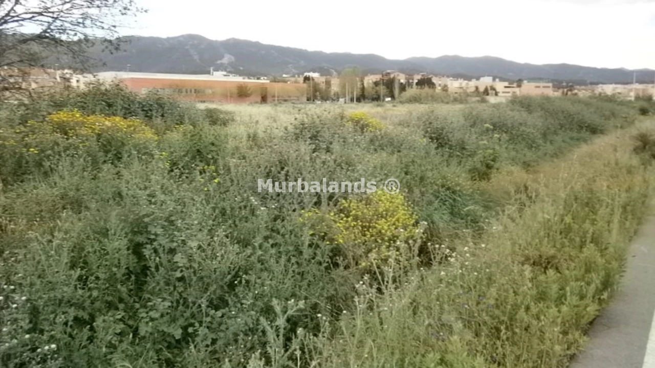 Foto 5 del terreno Ref. 00000724