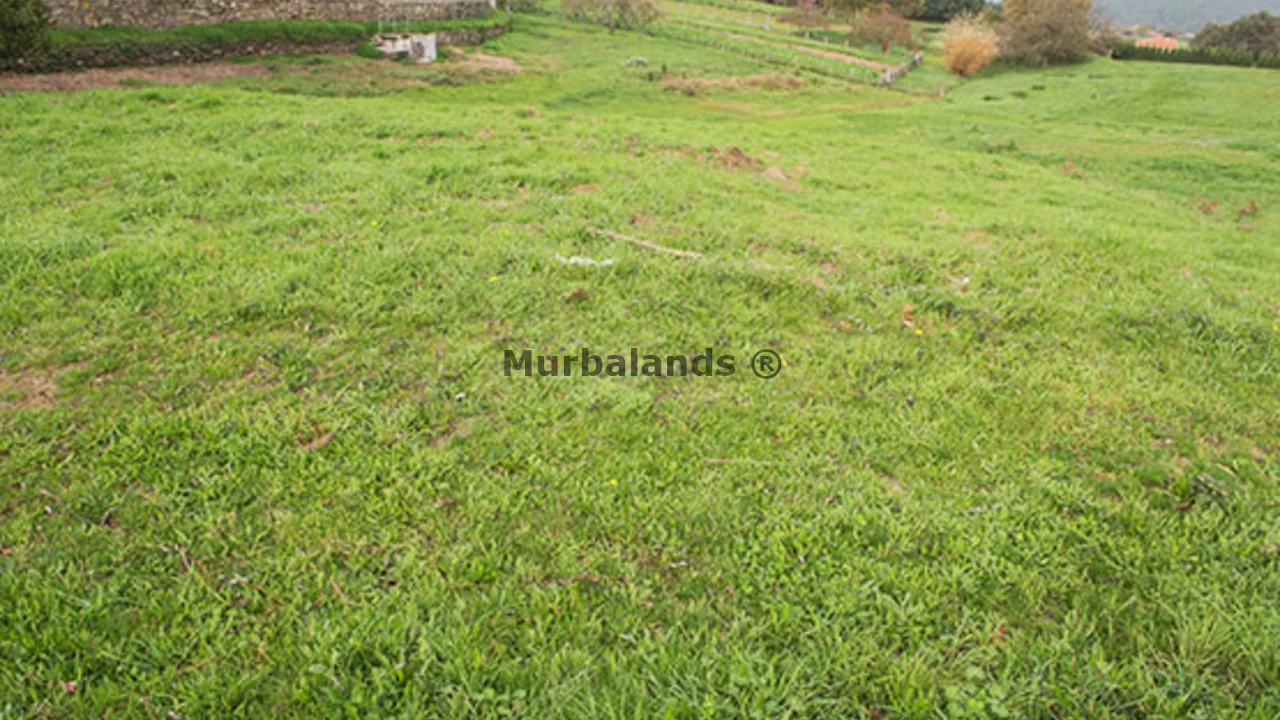 Foto de un terreno o una obra parada para mostrar en el detalle del inmueble