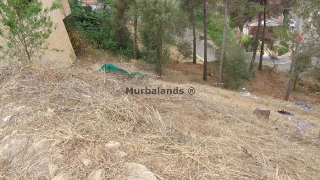 Foto de un terreno o una obra parada para mostrar en el detalle del inmueble
