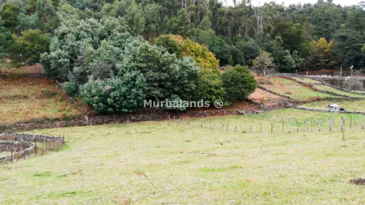 Foto de un terreno o una obra parada para mostrar en el detalle del inmueble