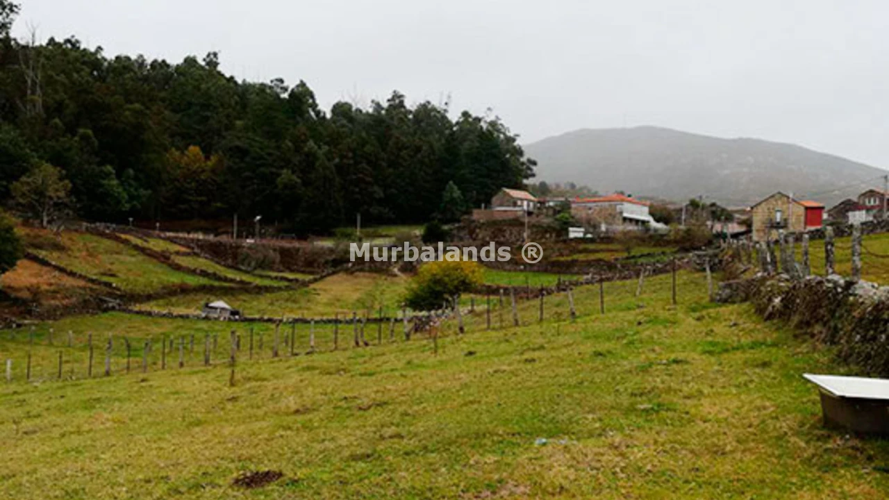 Foto de un terreno o una obra parada para mostrar en el detalle del inmueble