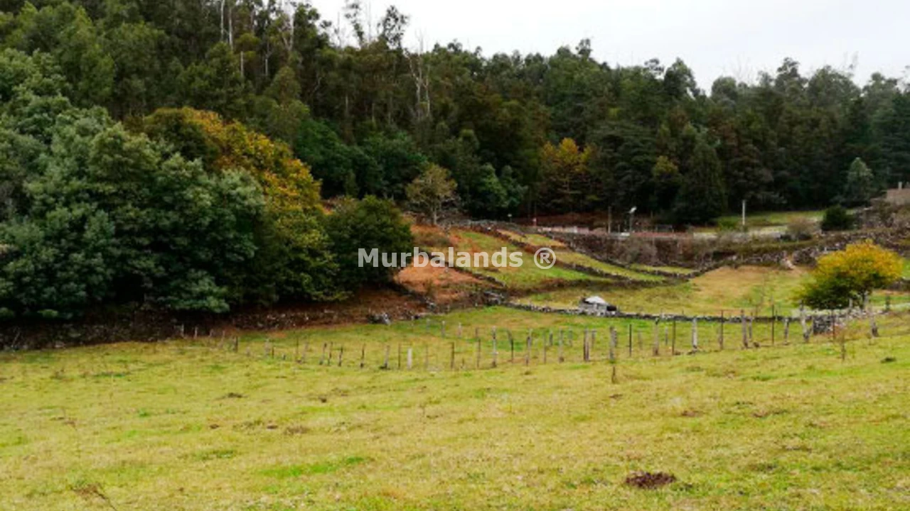 Foto de un terreno o una obra parada para mostrar en el detalle del inmueble