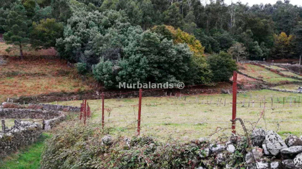 Foto de un terreno o una obra parada para mostrar en el detalle del inmueble
