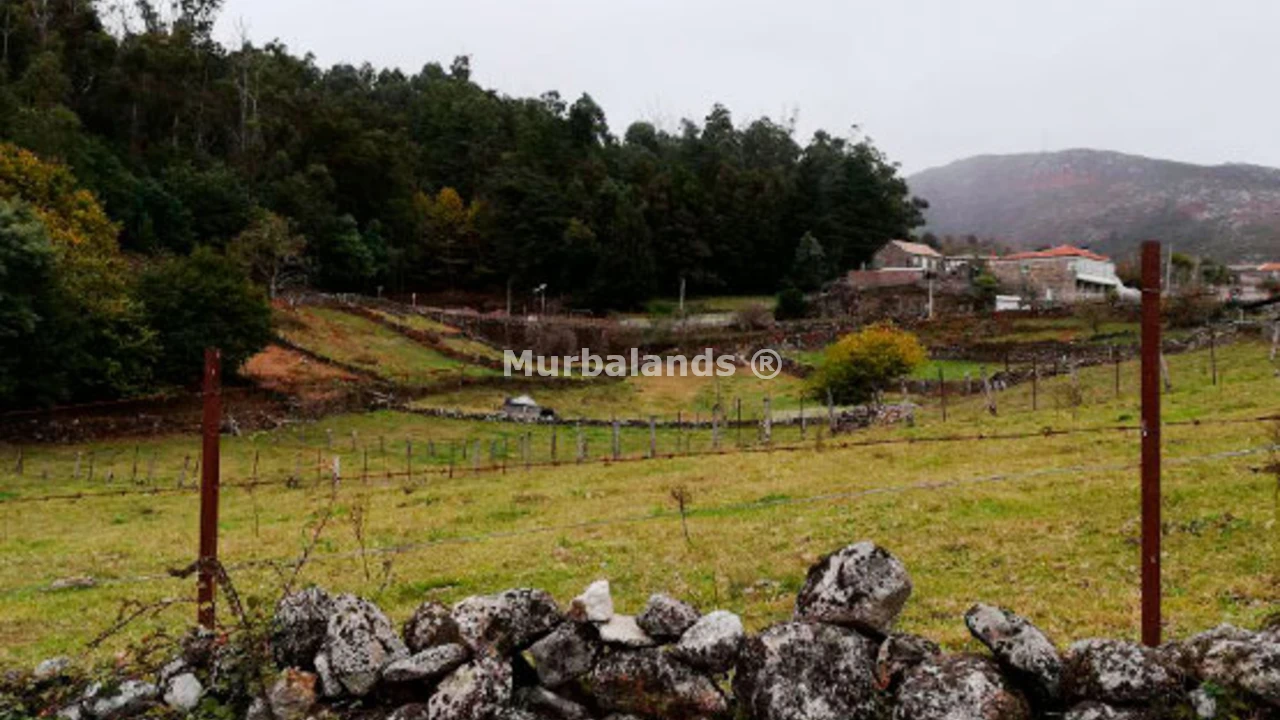 Foto de un terreno o una obra parada para mostrar en el detalle del inmueble