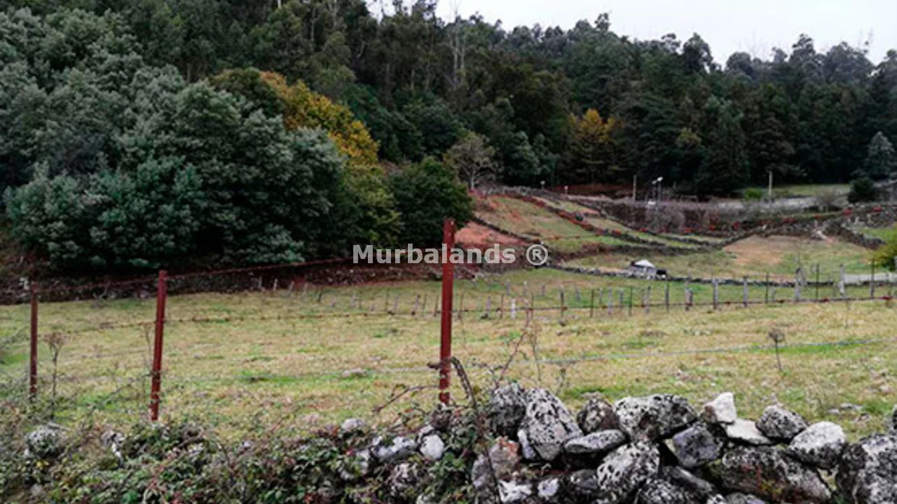 Foto de un terreno o una obra parada para mostrar en el detalle del inmueble