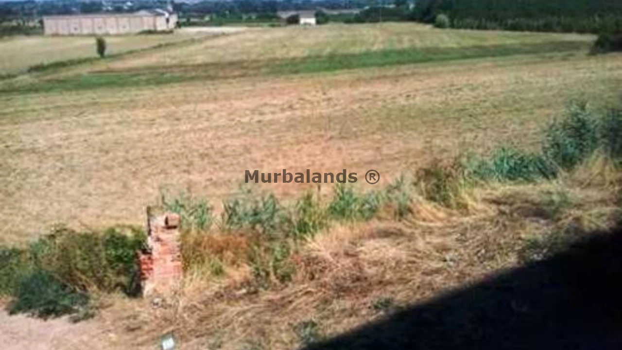 Foto de un terreno o una obra parada para mostrar en el detalle del inmueble
