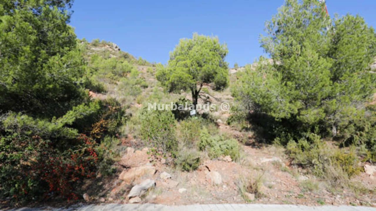 Foto de un terreno o una obra parada para mostrar en el detalle del inmueble
