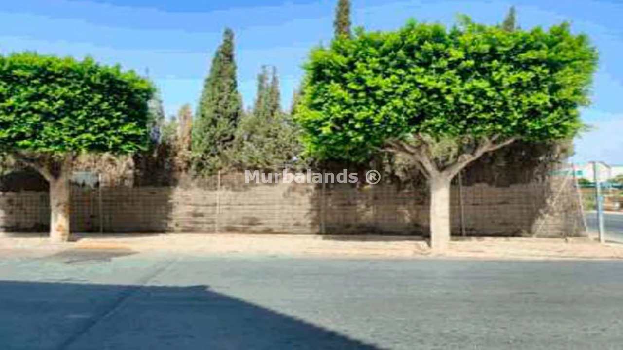 Foto de un terreno o una obra parada para mostrar en el detalle del inmueble