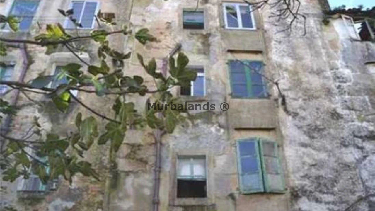 Foto de un terreno o una obra parada para mostrar en el detalle del inmueble