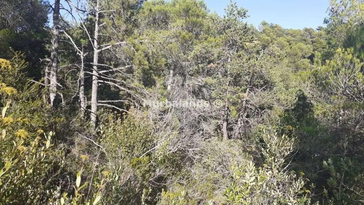 Terreno destacado