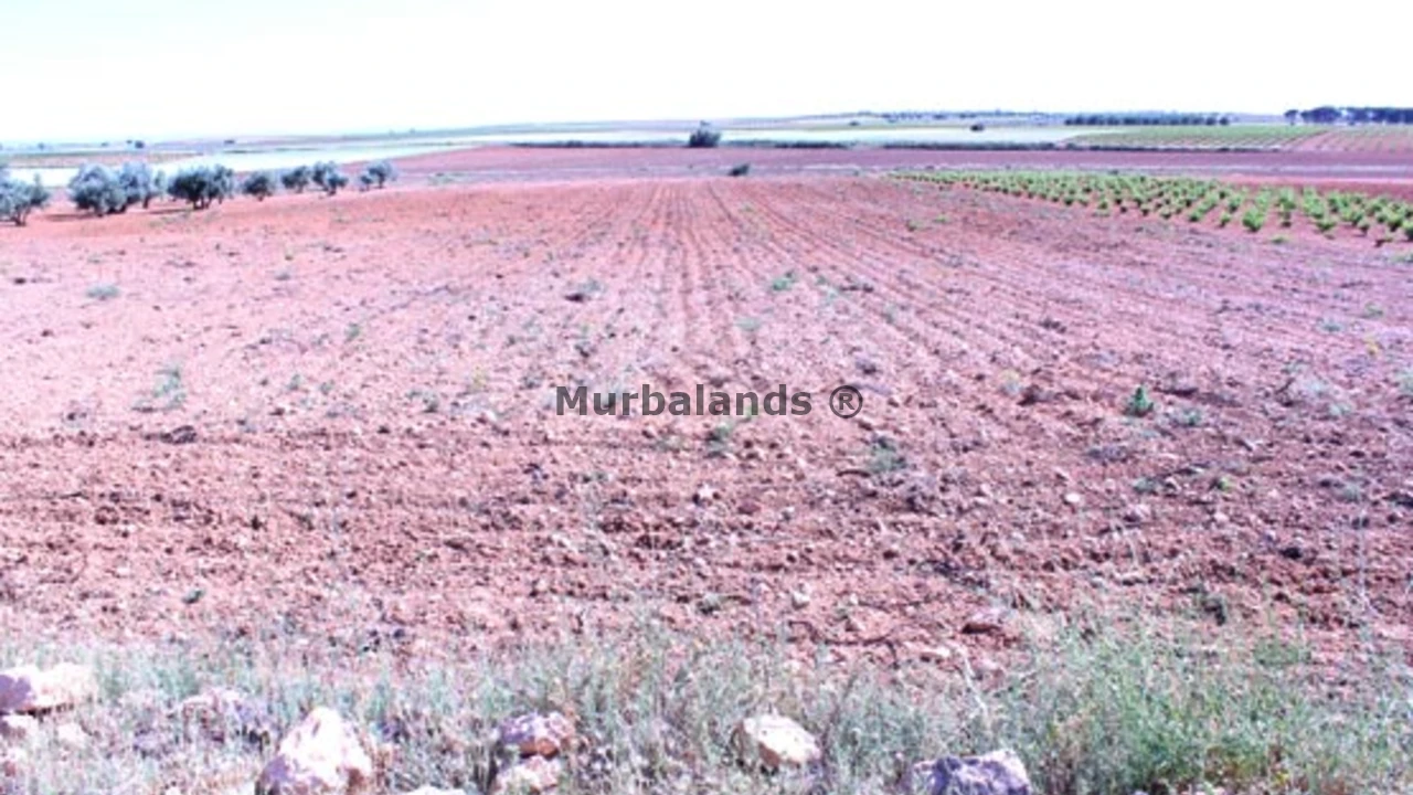 Terreno destacado