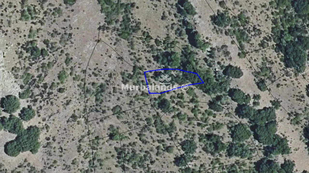 Foto de un terreno o una obra parada para mostrar en el detalle del inmueble