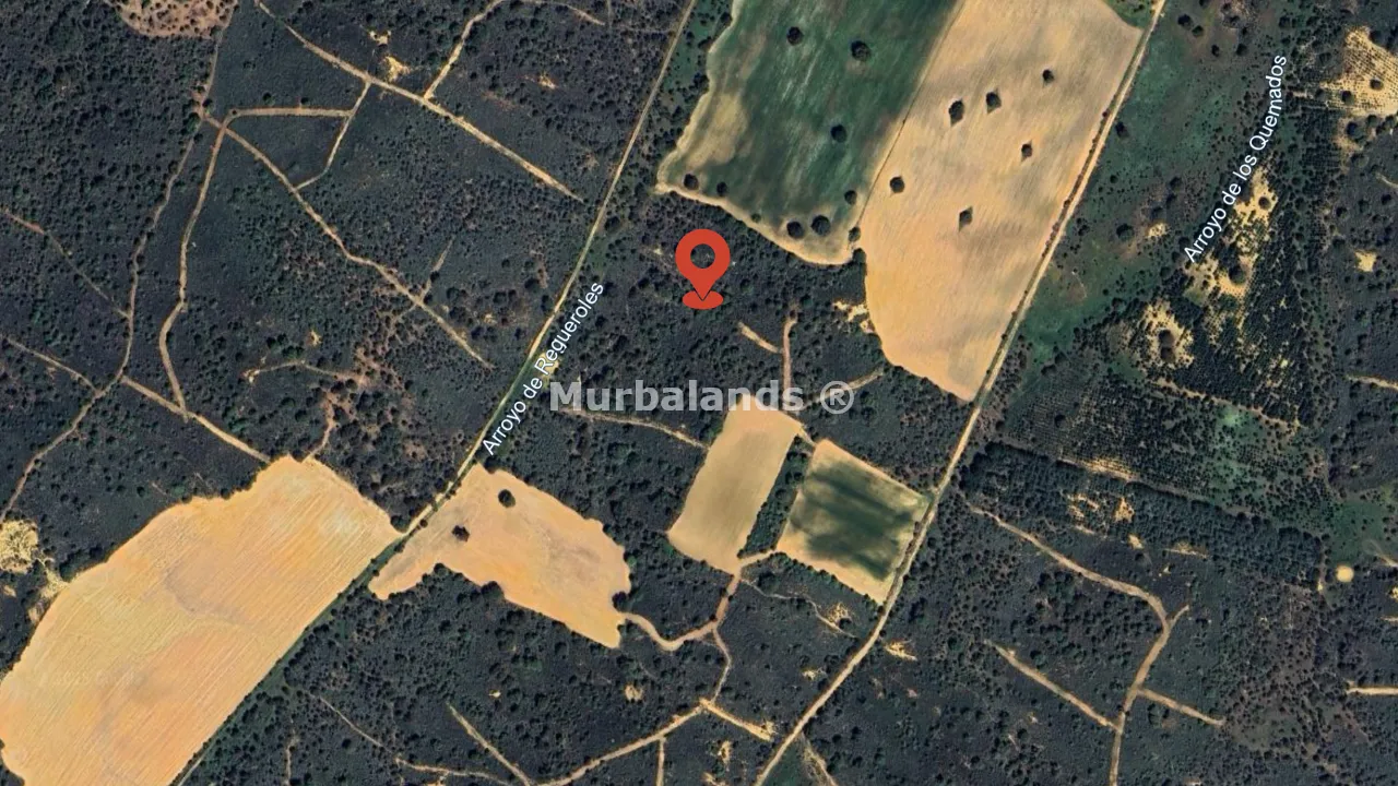 Foto de un terreno o una obra parada para mostrar en el detalle del inmueble