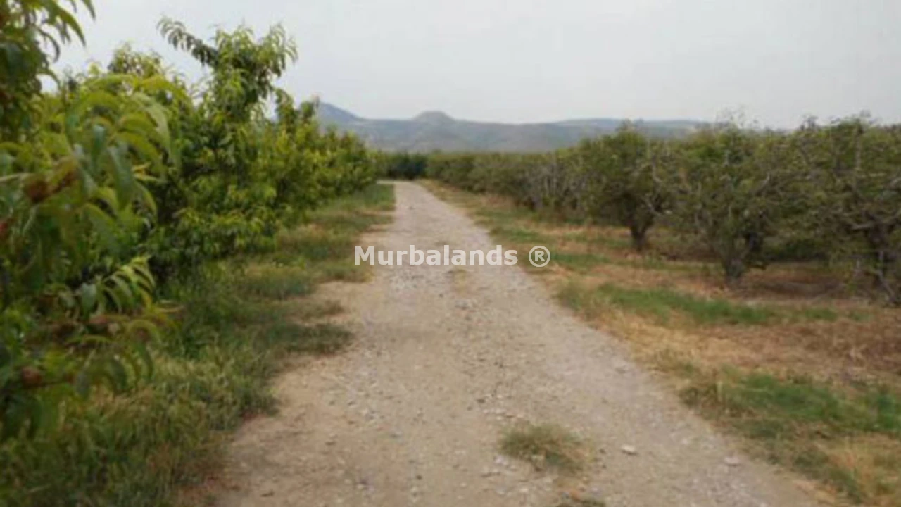 Foto de un terreno o una obra parada para mostrar en el detalle del inmueble