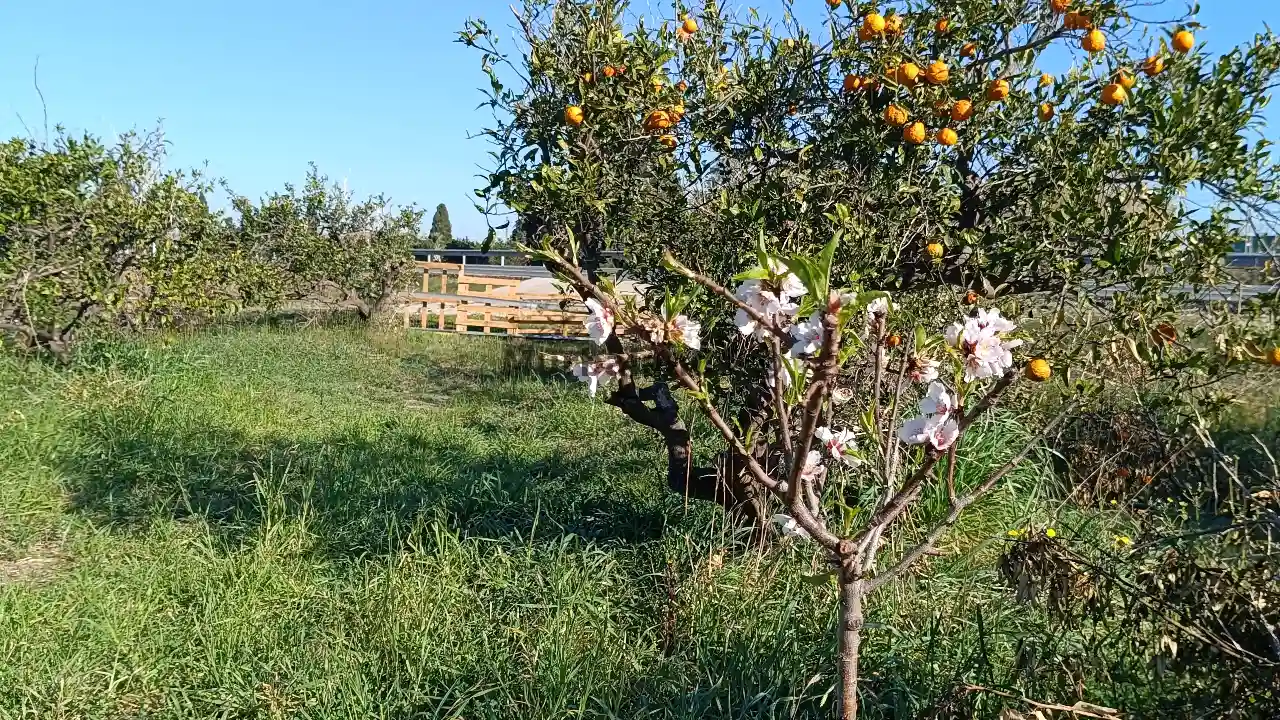 Foto del anuncio Ref. 00005233