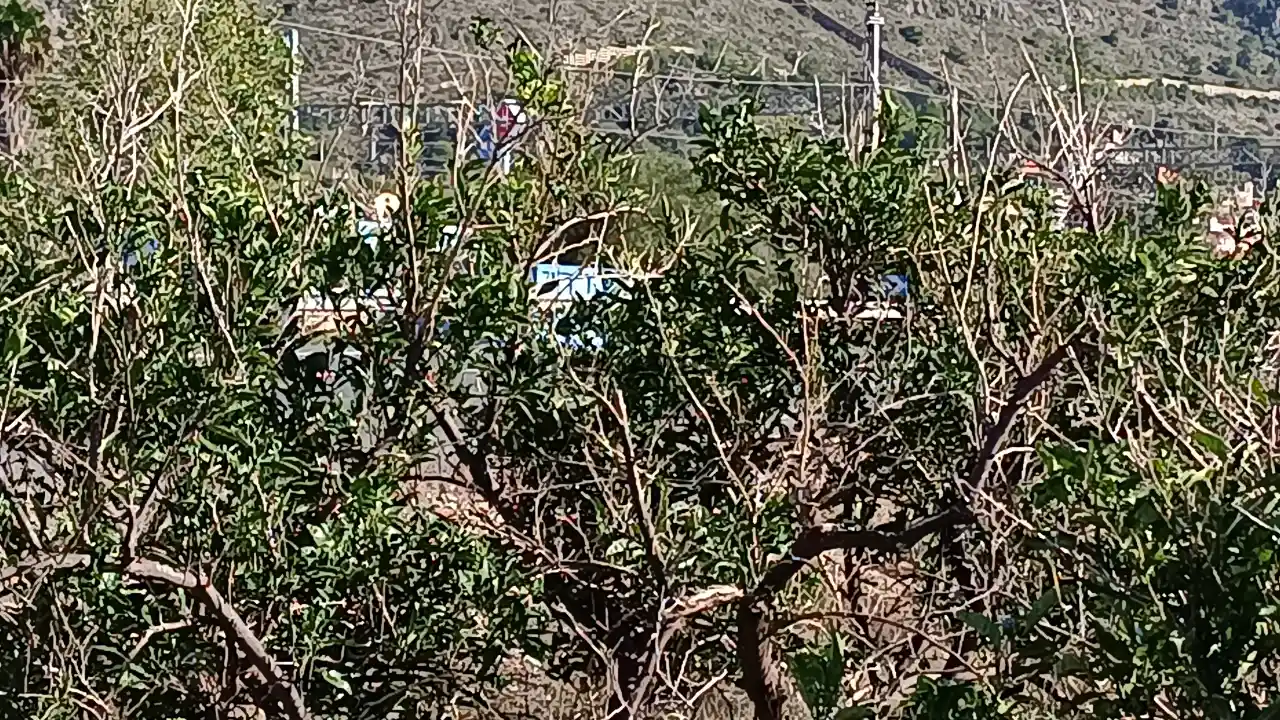 Foto del anuncio Ref. 00005233