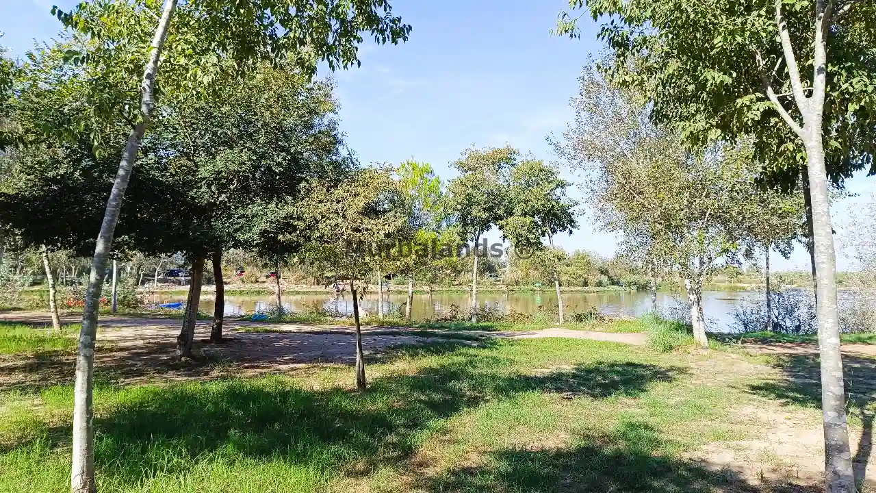 Foto del anuncio Ref. 00005233