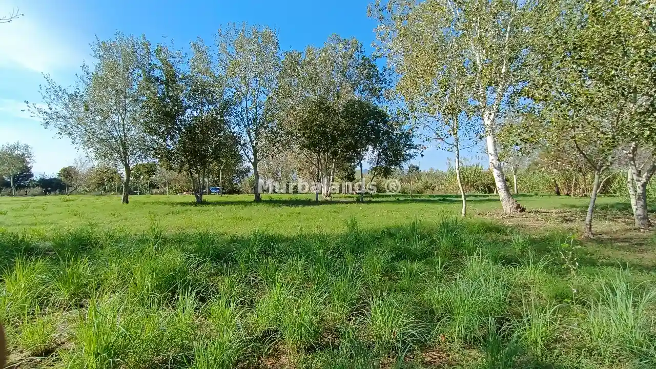 Foto del anuncio Ref. 00005233